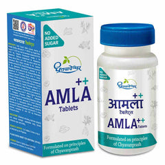 Dhootapapeshwar Amla Plus Tablets (60Tab)