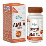 Dhootapapeshwar Amla Plus With Zinc Tablets (60Tab)