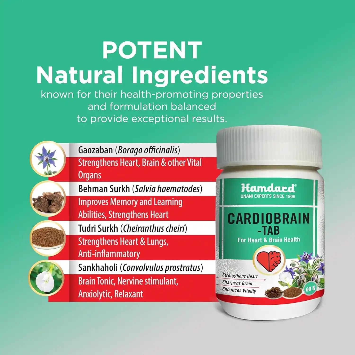 Hamdard Cardiobrain Tablets