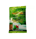 Nagarjuna Thalipodi 75gm (pack of 10)