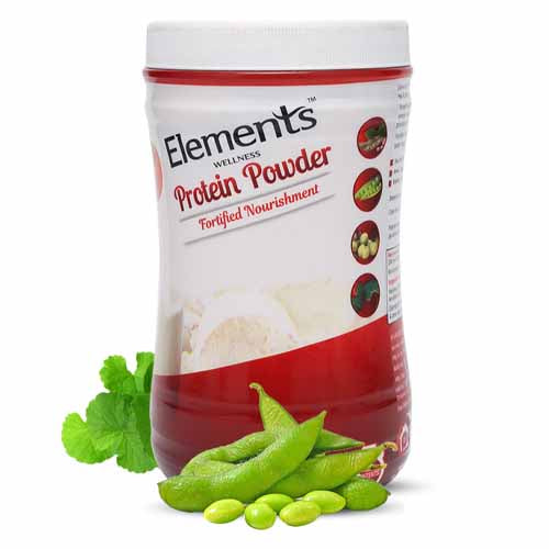 Elements Protein Powder 500 Gms